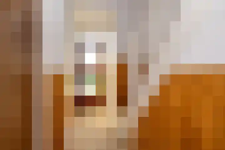 Lijsterbesweg 6 Middelharnis thumbnail 6