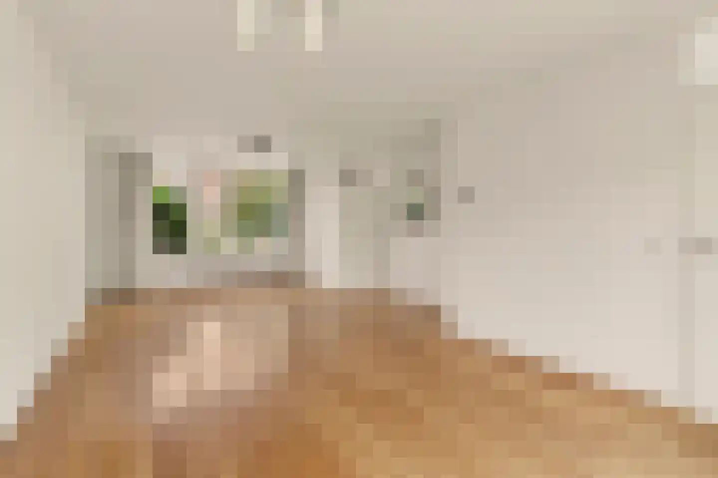 Lijsterboog 14 Hilvarenbeek thumbnail 10