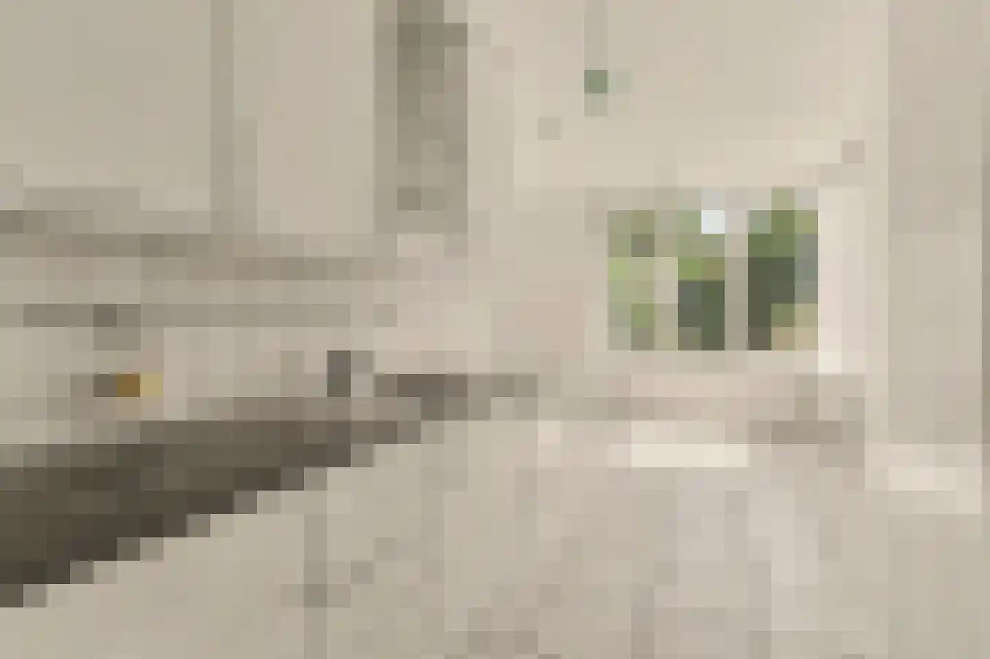 Lijsterboog 14 Hilvarenbeek thumbnail 13