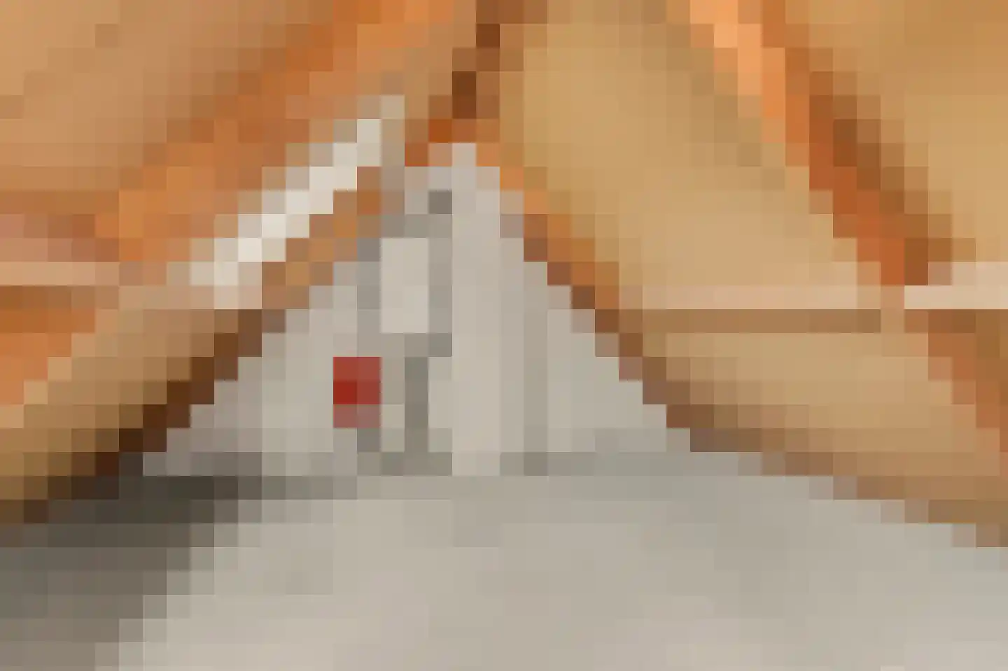 Lijsterboog 14 Hilvarenbeek thumbnail 27