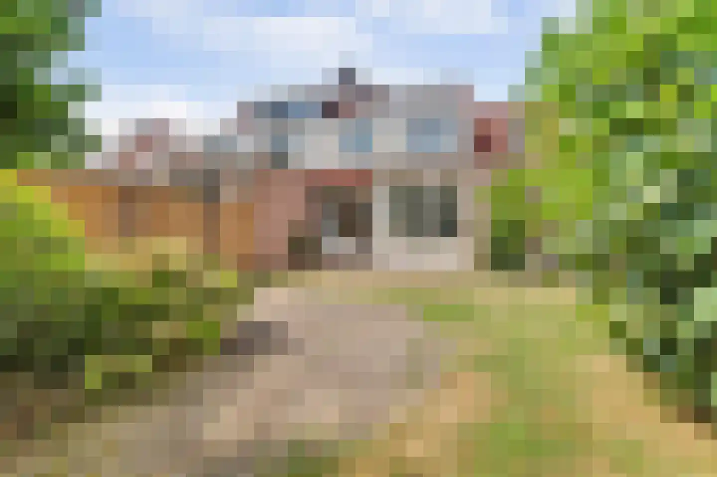 Lijsterboog 14 Hilvarenbeek thumbnail 29