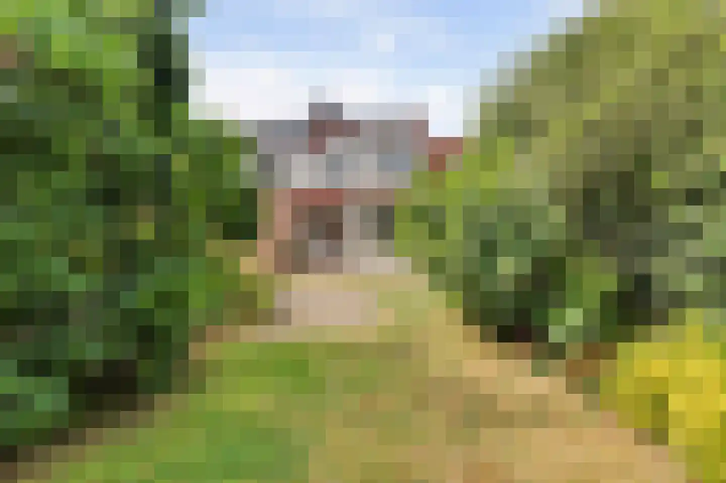 Lijsterboog 14 Hilvarenbeek thumbnail 31