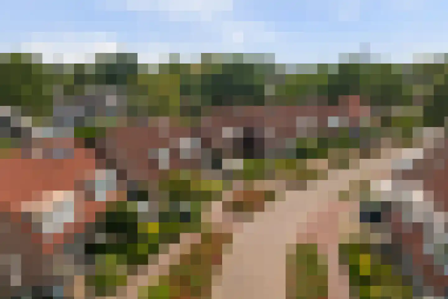 Lijsterboog 14 Hilvarenbeek thumbnail 33