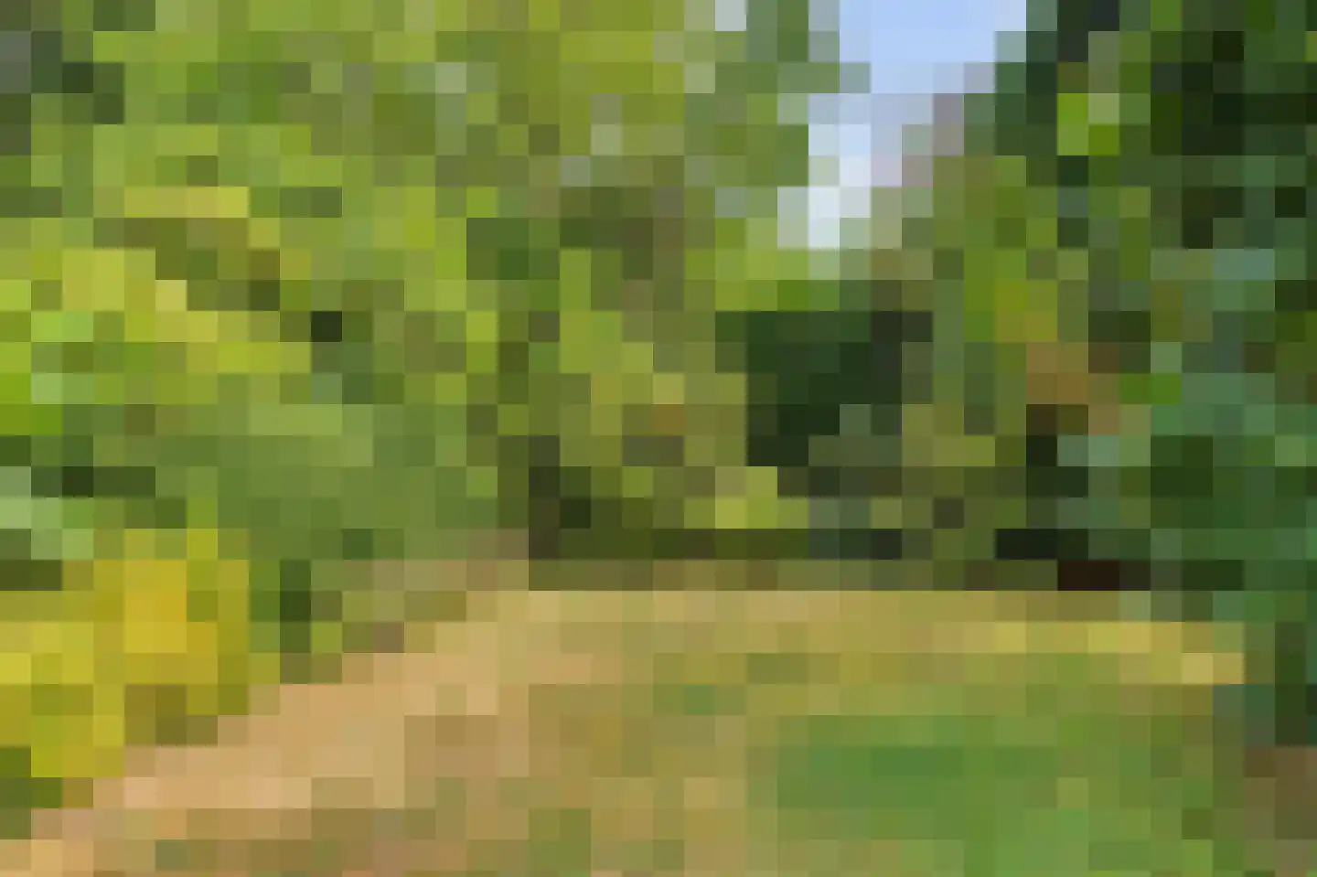 Lijsterboog 14 Hilvarenbeek thumbnail 4