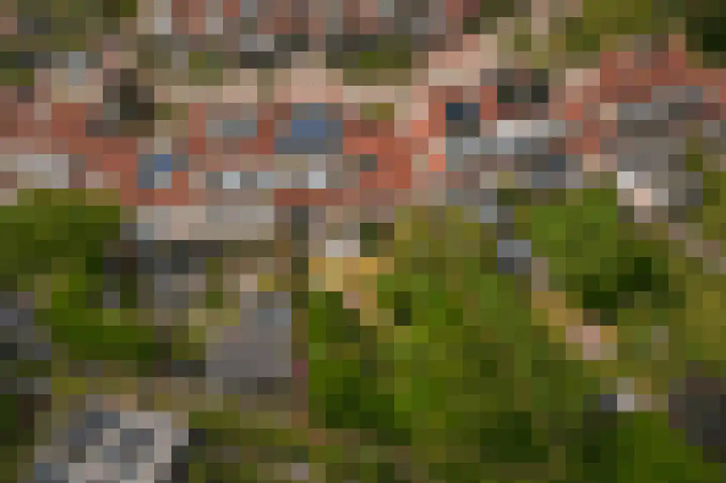 Lijsterboog 14 Hilvarenbeek thumbnail 5