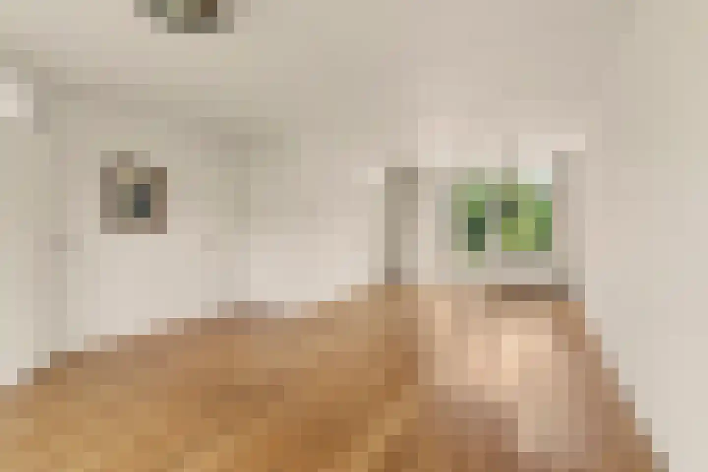 Lijsterboog 14 Hilvarenbeek thumbnail 9