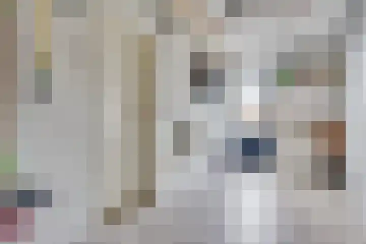 Lijsterboog 39 Hilvarenbeek thumbnail 15