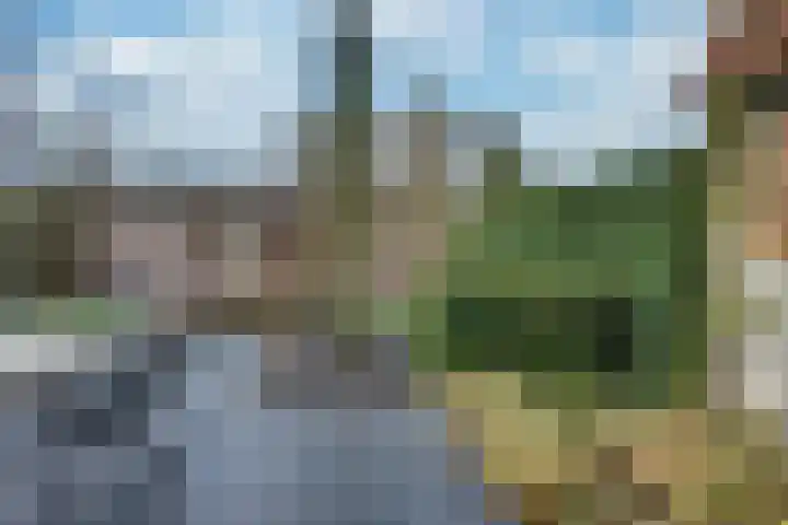 Lijsterboog 39 Hilvarenbeek thumbnail 17