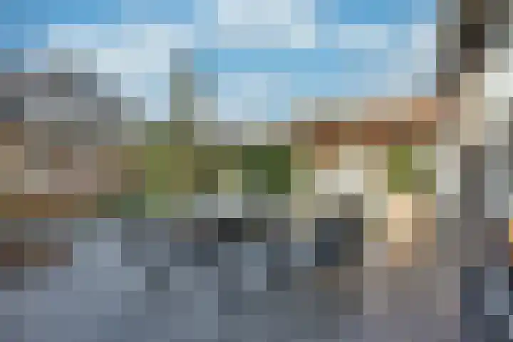 Lijsterboog 39 Hilvarenbeek thumbnail 19
