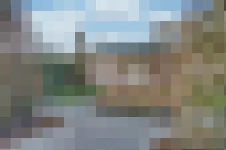 Lijsterboog 39 Hilvarenbeek thumbnail 20
