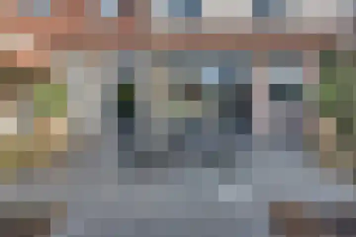 Lijsterboog 39 Hilvarenbeek thumbnail 21