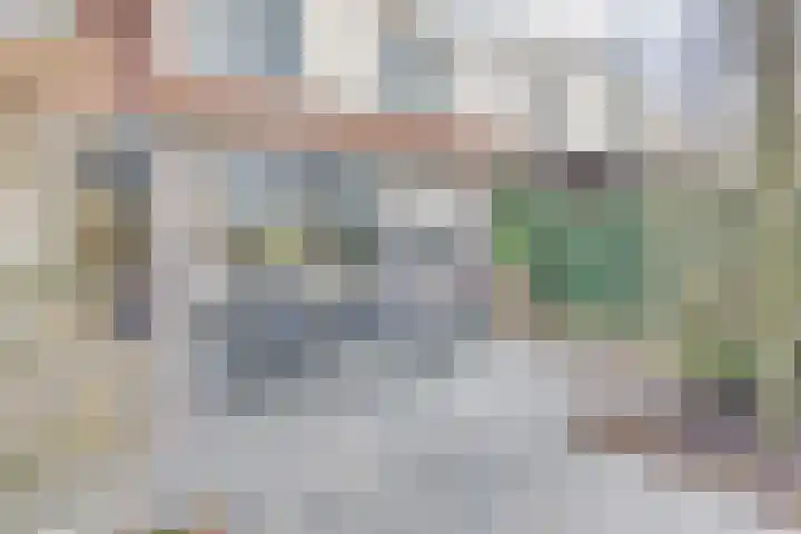 Lijsterboog 39 Hilvarenbeek thumbnail 23