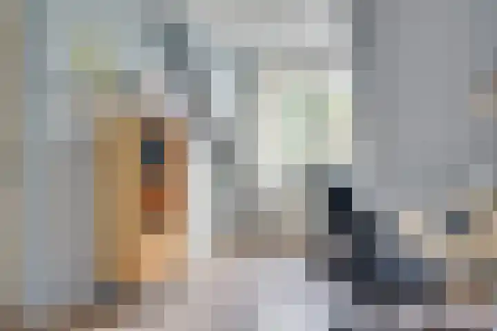 Lijsterboog 39 Hilvarenbeek thumbnail 31
