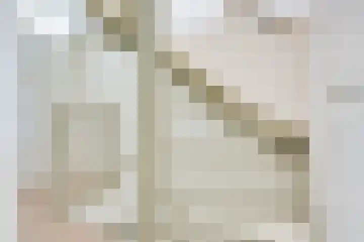 Lijsterboog 39 Hilvarenbeek thumbnail 32