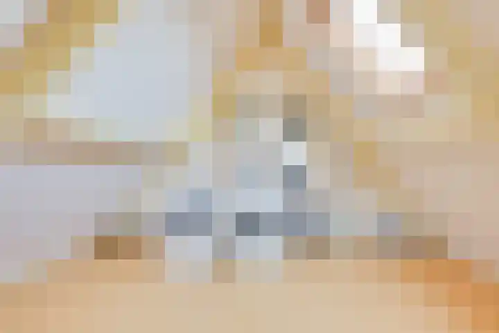 Lijsterboog 39 Hilvarenbeek thumbnail 35