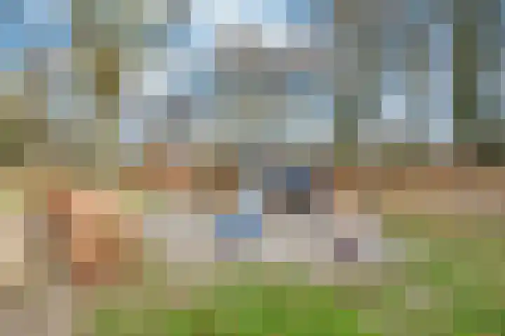 Lijsterboog 39 Hilvarenbeek thumbnail 37