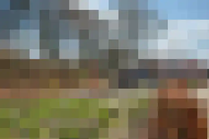 Lijsterboog 39 Hilvarenbeek thumbnail 38