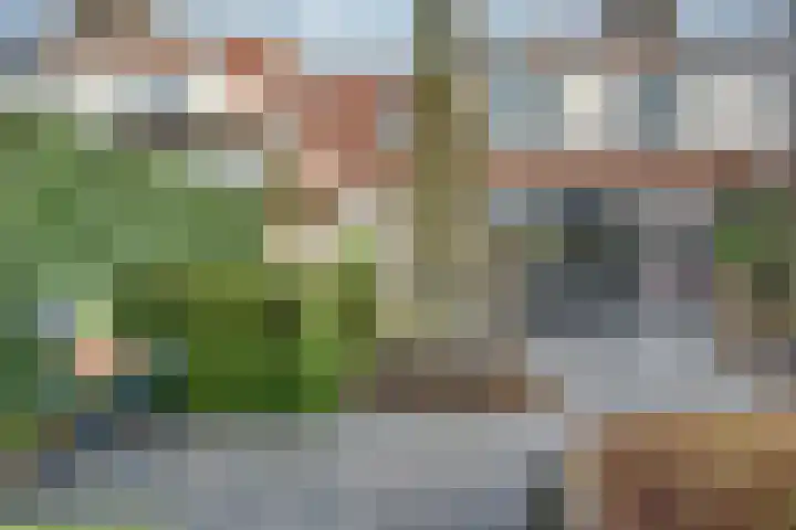 Lijsterboog 39 Hilvarenbeek thumbnail 4