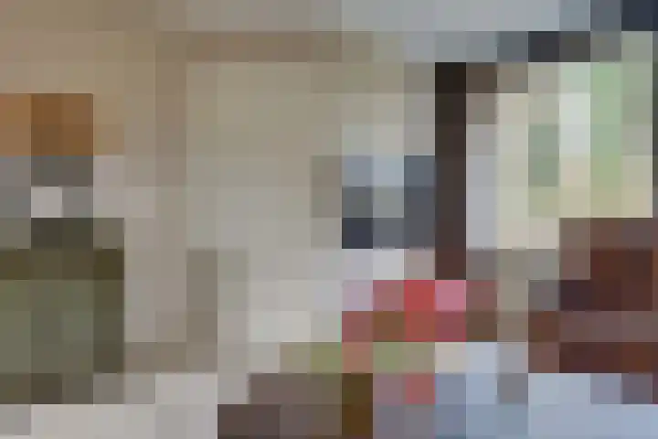 Lijsterboog 39 Hilvarenbeek thumbnail 9