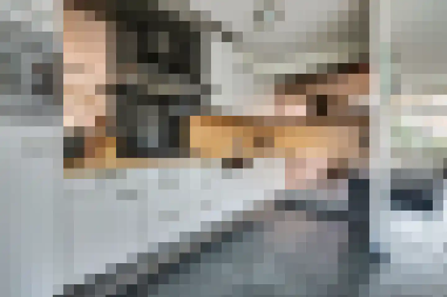 Lijsterboog 5 Hilvarenbeek thumbnail 10