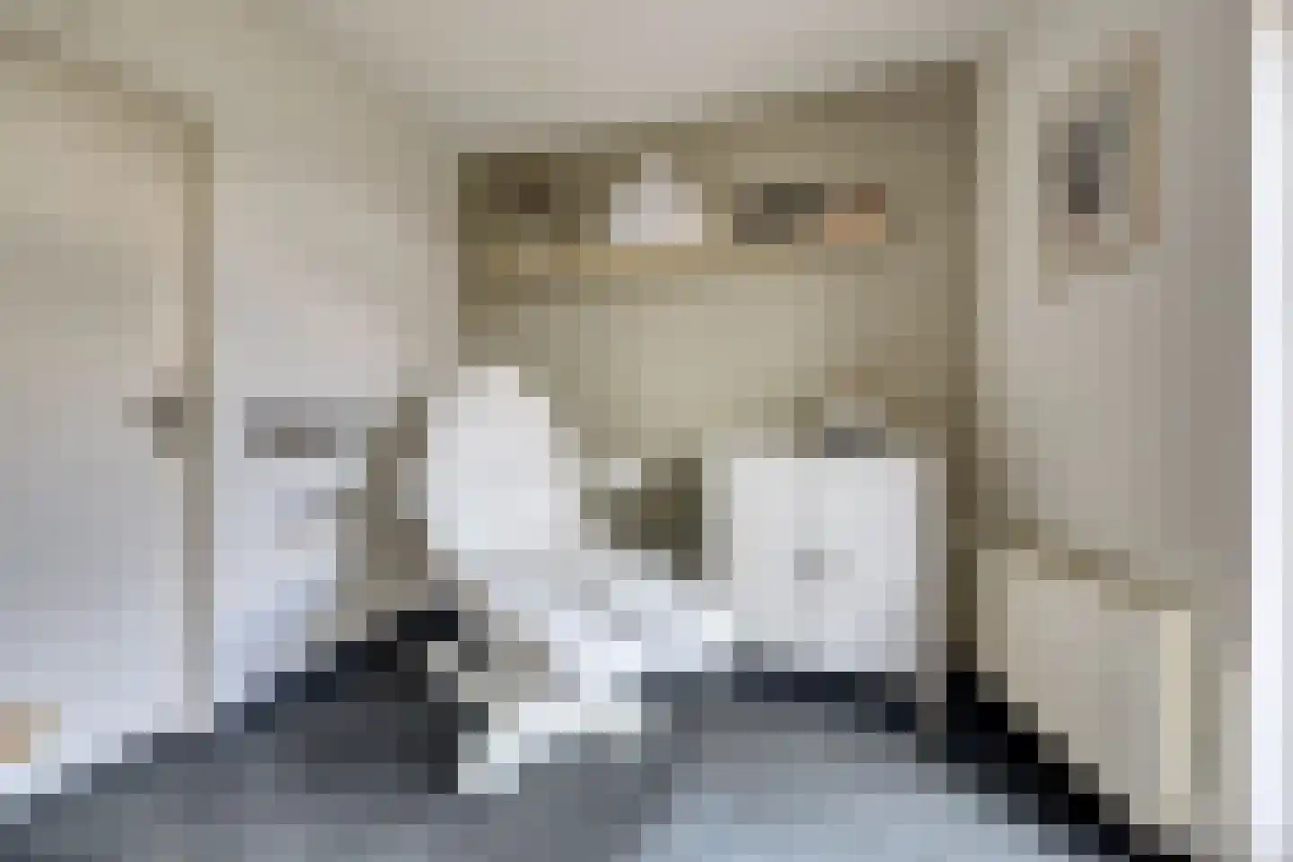 Lijsterboog 5 Hilvarenbeek thumbnail 12