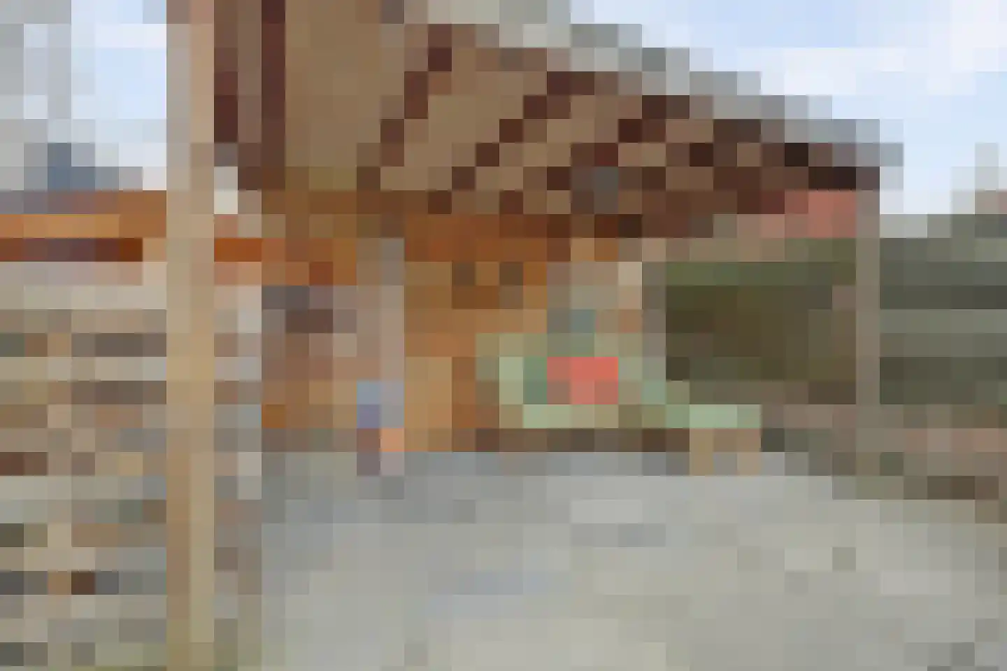 Lijsterboog 5 Hilvarenbeek thumbnail 32