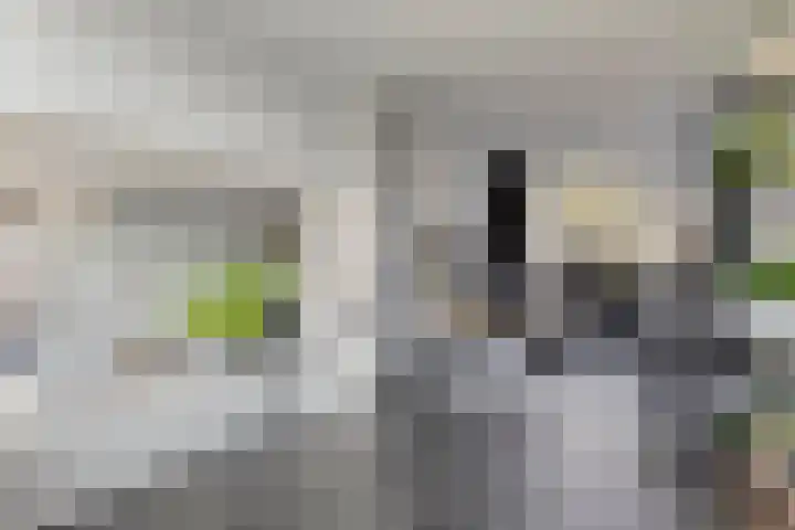 Lijsterhof 12 Ouderkerk aan den IJssel thumbnail 11