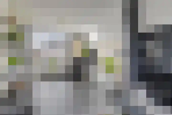Lijsterhof 12 Ouderkerk aan den IJssel thumbnail 12