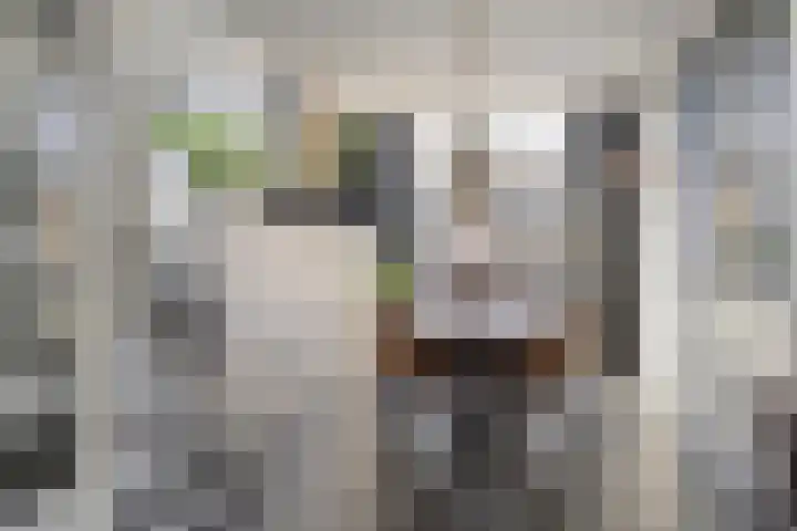 Lijsterhof 12 Ouderkerk aan den IJssel thumbnail 14