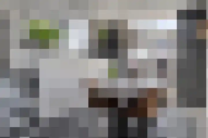 Lijsterhof 12 Ouderkerk aan den IJssel thumbnail 16