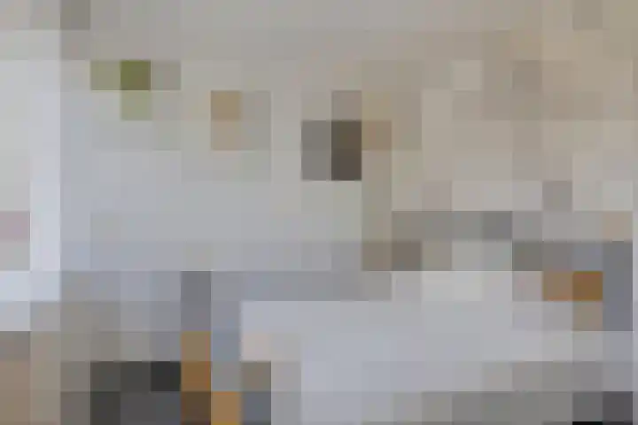 Lijsterhof 12 Ouderkerk aan den IJssel thumbnail 21