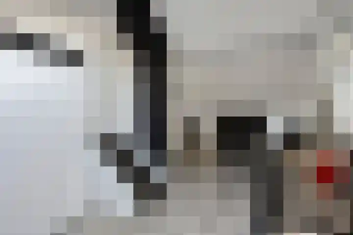 Lijsterhof 12 Ouderkerk aan den IJssel thumbnail 27