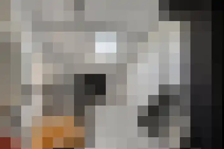 Lijsterhof 12 Ouderkerk aan den IJssel thumbnail 28