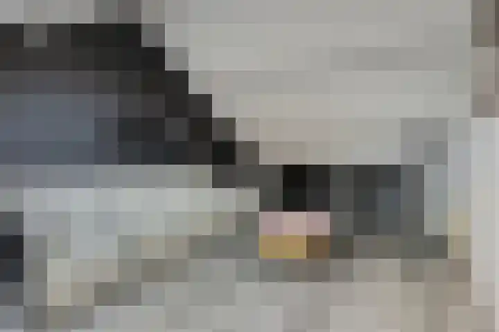 Lijsterhof 12 Ouderkerk aan den IJssel thumbnail 29