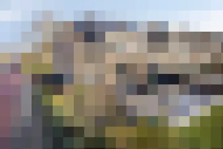 Lijsterhof 12 Ouderkerk aan den IJssel thumbnail 31
