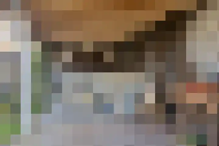 Lijsterhof 12 Ouderkerk aan den IJssel thumbnail 34