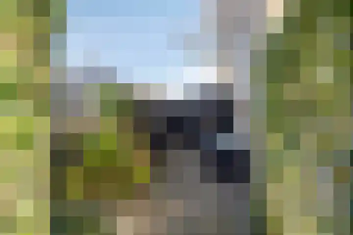 Lijsterhof 12 Ouderkerk aan den IJssel thumbnail 36