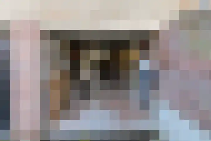 Lijsterhof 12 Ouderkerk aan den IJssel thumbnail 37