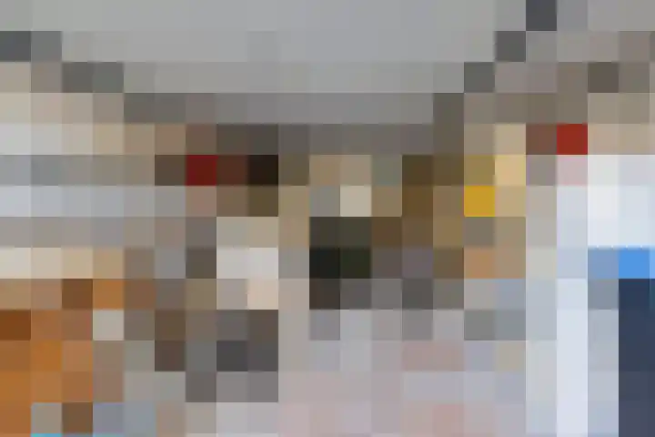 Lijsterhof 12 Ouderkerk aan den IJssel thumbnail 38