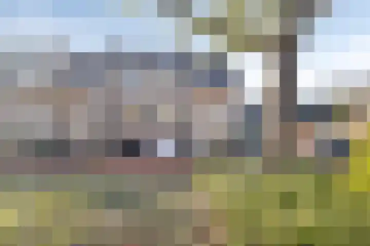Lijsterhof 12 Ouderkerk aan den IJssel thumbnail 4