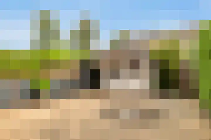 Lijsterhof 12 Roelofarendsveen thumbnail 16