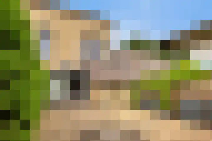 Lijsterhof 12 Roelofarendsveen thumbnail 17