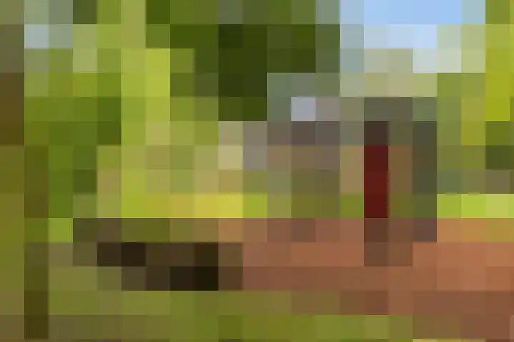 Lijsterhof 12 Roelofarendsveen thumbnail 18