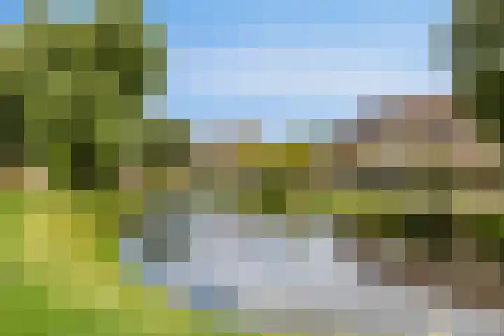 Lijsterhof 12 Roelofarendsveen thumbnail 19