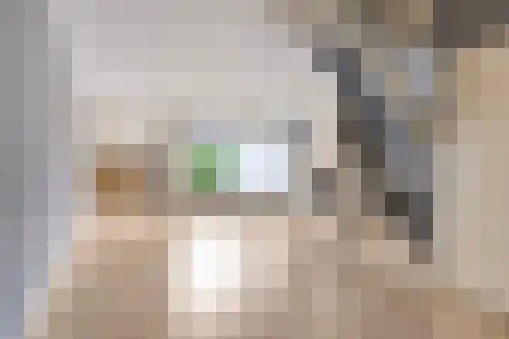 Lijsterhof 12 Roelofarendsveen thumbnail 4