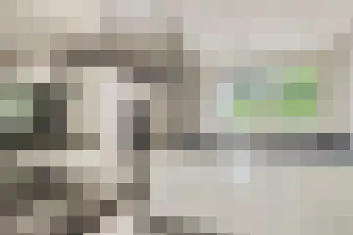 Lijsterhof 12 Roelofarendsveen thumbnail 7