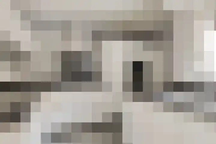Lijsterhof 12 Roelofarendsveen thumbnail 8