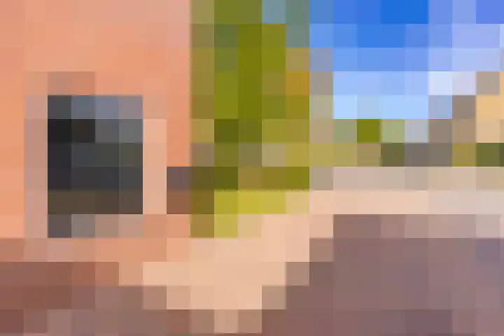 Lijsterhof 12 Stadskanaal thumbnail 12