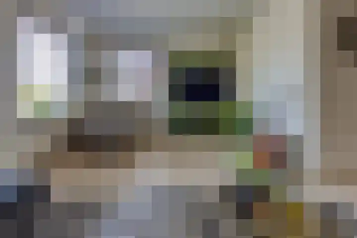 Lijsterhof 12 Stadskanaal thumbnail 13
