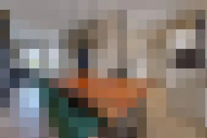 Lijsterhof 12 Stadskanaal thumbnail 17